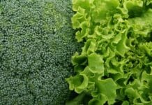 Serowe rytuały wśród Celtów