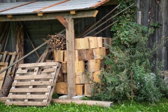 Stos drewna kominkowego przy drewnianym składziku w ogrodzie